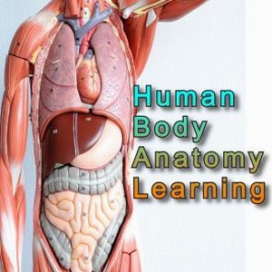 anatomylearning官网