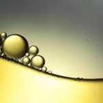 bubble translate下载