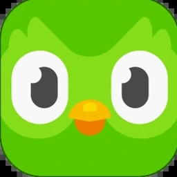 duolingo电脑版下载Windows版