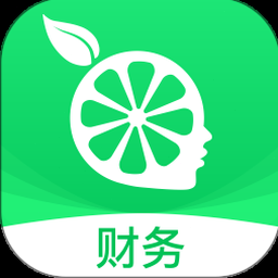 tally 中文正式