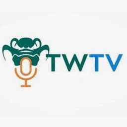 twtv电视台官网