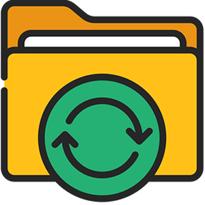 zio driver flash