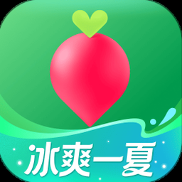 叮咚买菜官网