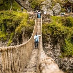 旅游网官网