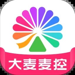 麦登橄榄球 2005