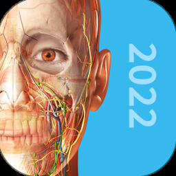 人体内脏3d解剖图