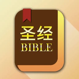 我的圣经狂想曲