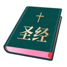 研读圣经国外网页版