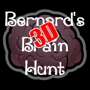 3dbrains pte ltd