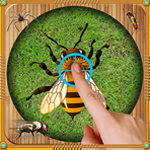 ant messenger中文