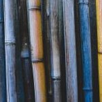 bamboo lab