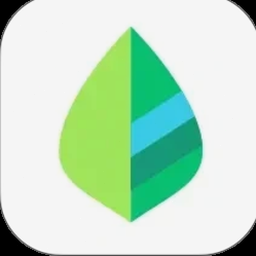 billeslookApp下载