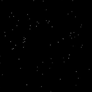 blackstar pastry