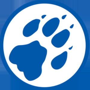 cheetah猎豹