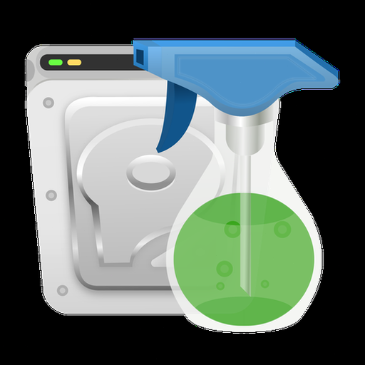 cleanwiz ai