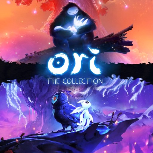 collections by tiktok