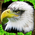 eagle2fa官网