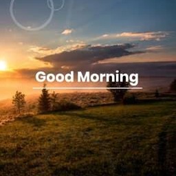 good morning beautiful lady