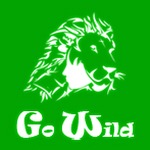 gowild pass