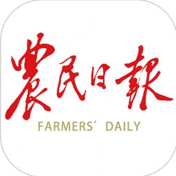 农民电子市场的现状