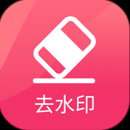 轻抖去水印工具破解版
