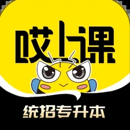 沙特国王国际大学