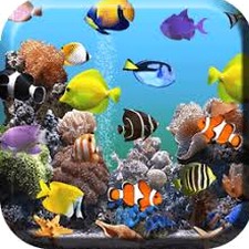 水族馆动态壁纸下载
