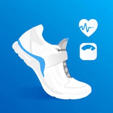 pacer系统网页版国际