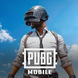 pingmobile国际服
