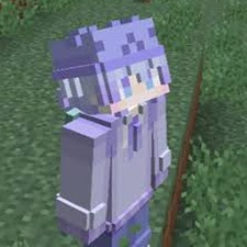 skin 3d minecraft