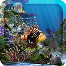 水族馆动态壁纸下载软件PC版