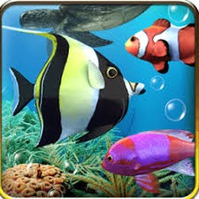 水族馆动态壁纸下载安装包