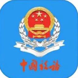 税务发票查验