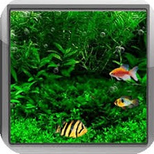 鱼缸3d背景图下载安装