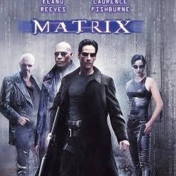matrix 中文