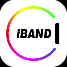 ibandronate 中文