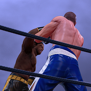 real boxing