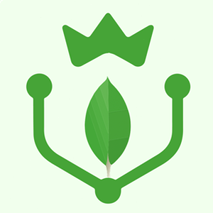 mongodb