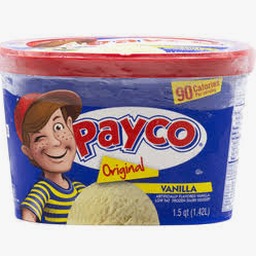 paycor离线版安装