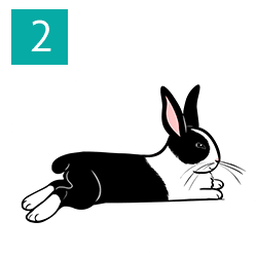 rabbitmq汉化版离线版
