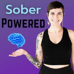sober手机